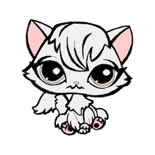 American Shorthair Animals American Shorthair Animals