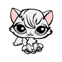 American Shorthair Animals American Shorthair Animals