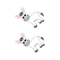 American Shorthair Animals American Shorthair Animals