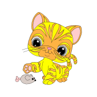 American Shorthair Animals American Shorthair Animals