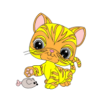 American Shorthair Animals American Shorthair Animals