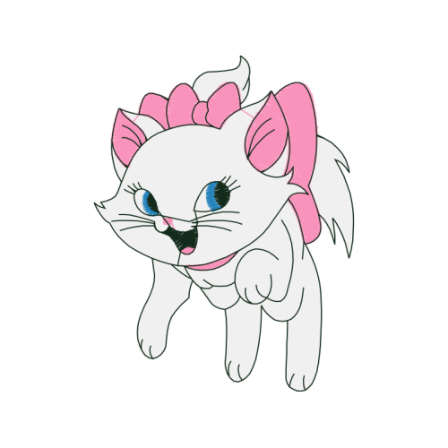 American Wirehair Animals American Wirehair Animals