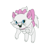 American Wirehair Animals American Wirehair Animals