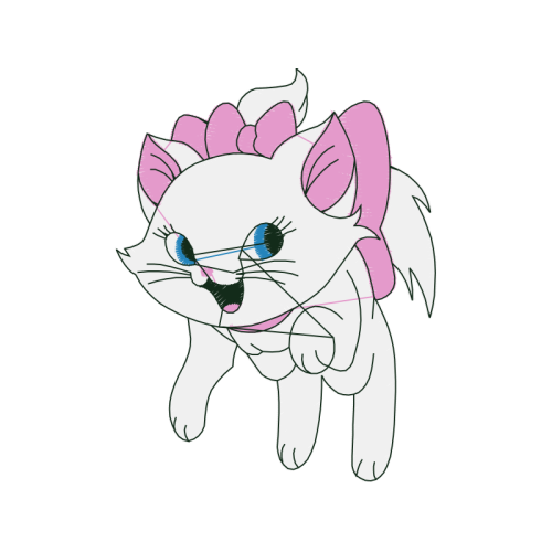 American Wirehair Animals American Wirehair Animals