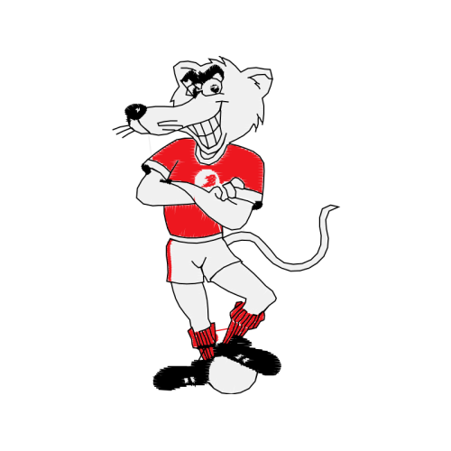 Arena De Pernambuco Animals Arena De Pernambuco Animals