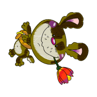 Art Animals Art Animals