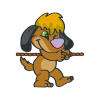 Art Animals Art Animals