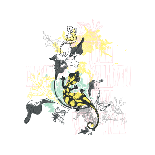 Art Animals Art Animals