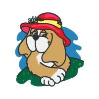 Art Animals Art Animals