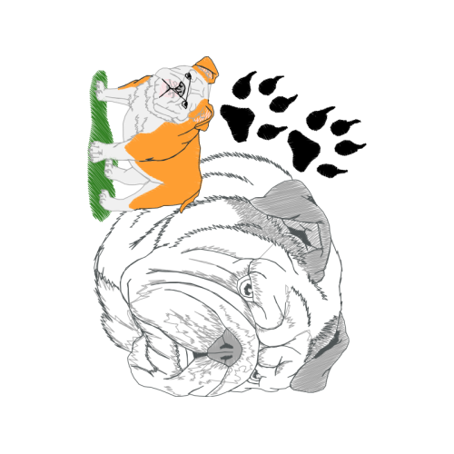 Art Animals Art Animals