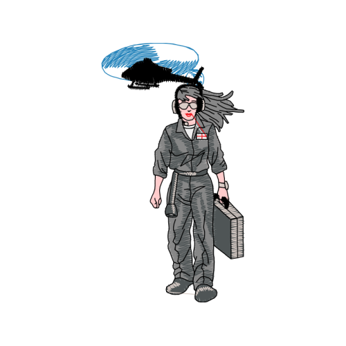 Art Animals Art Animals