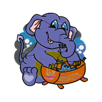 Art Animals Art Animals