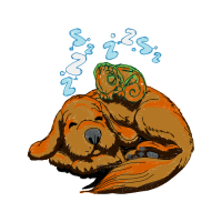 Art Animals Art Animals