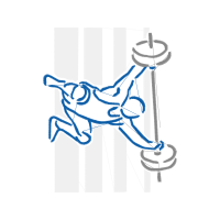 Art Animals Art Animals