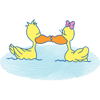 Art Animals Art Animals