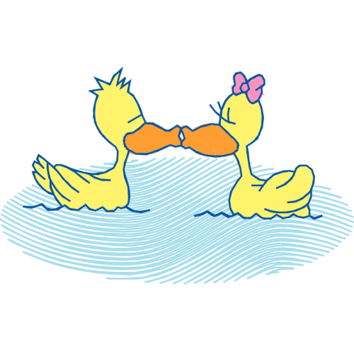 Art Animals Art Animals