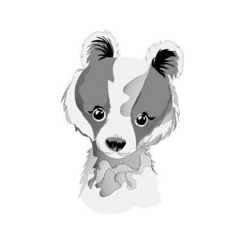 Art Animals Art Animals