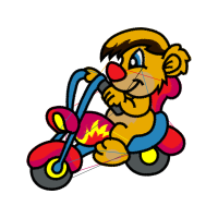 Art Animals Art Animals