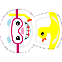 Art Animals Art Animals