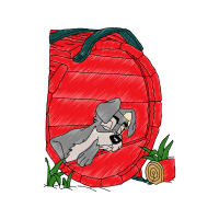 Art Animals Art Animals