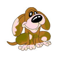Basset Hound Animals