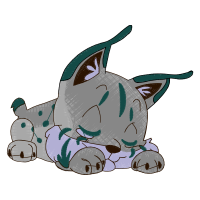 Black Rhinoceros Animals