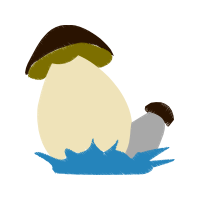 Blue Footed Booby Animals