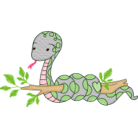 Boa Constrictor Animals