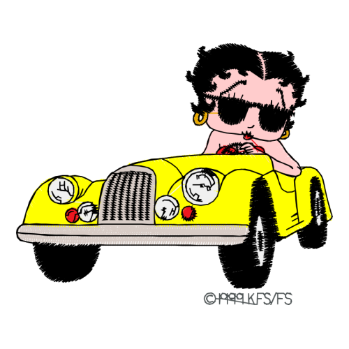 Car Animals Car Animals