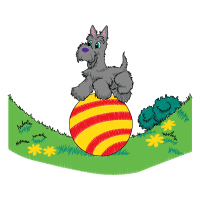 Cartoon Animals Cartoon Animals