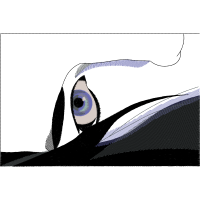 Cartoon Animals Cartoon Animals