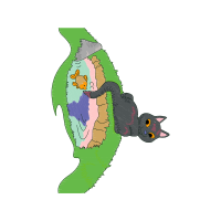 Cartoon Animals Cartoon Animals