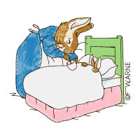 Cartoon Animals Cartoon Animals