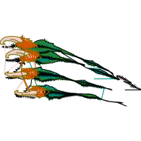 Cartoon Animals Cartoon Animals