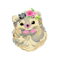 Cartoon Animals Cartoon Animals