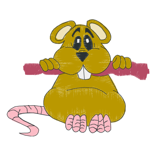 Cartoon Animals Cartoon Animals