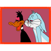 Cat Animals Cat Animals