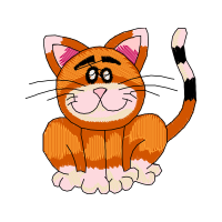 Cat Animals Cat Animals