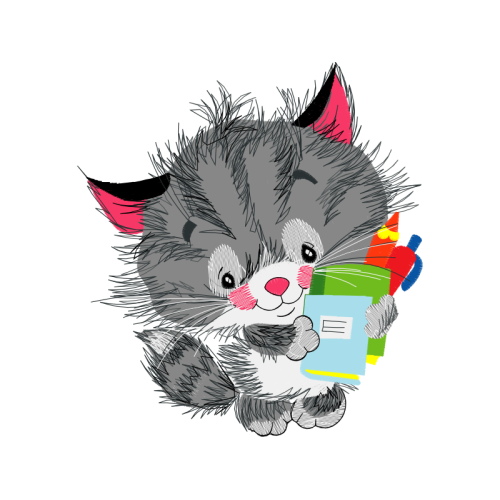 Cat Animals Cat Animals