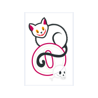 Cat Animals Cat Animals