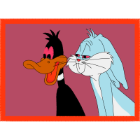 Cat Animals Cat Animals