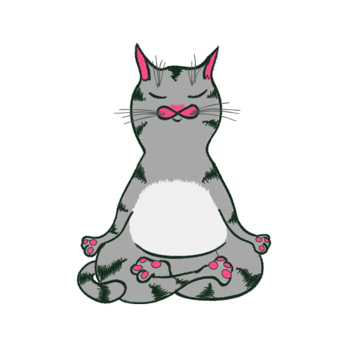 Cat Animals Cat Animals