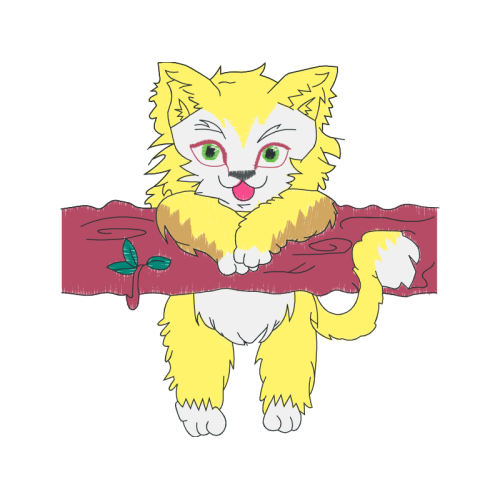 Cat Animals Cat Animals