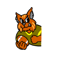 Cat Animals Cat Animals