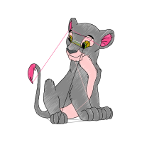 Cat Animals Cat Animals