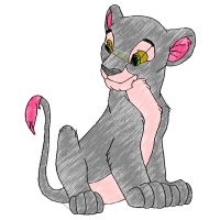 Cat Animals Cat Animals