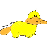 Cat Animals Cat Animals