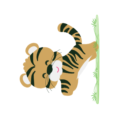 Cat Animals Cat Animals