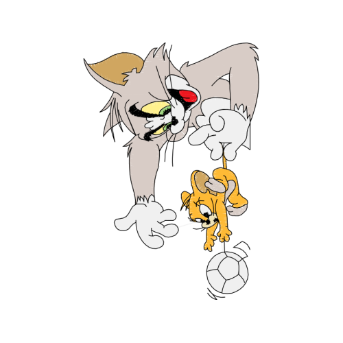 Cat Animals Cat Animals