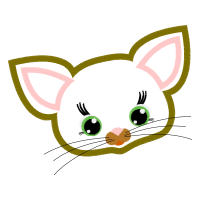 Cat Animals Cat Animals